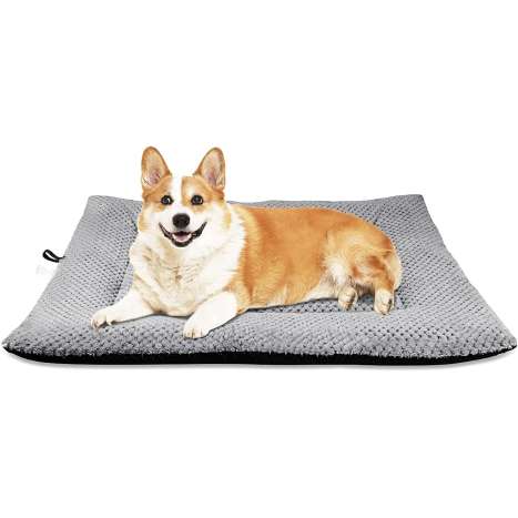 Onarway Dog Bed Mat - Medium Washable Fluffy Crate Pad